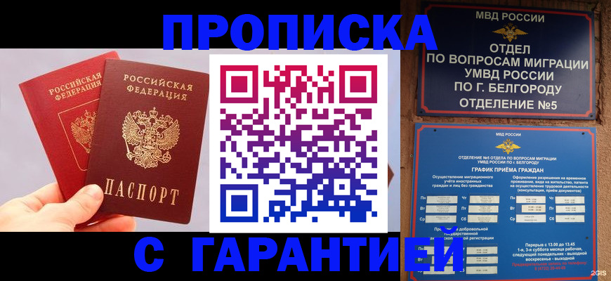 прописка 2025 в Талдоме